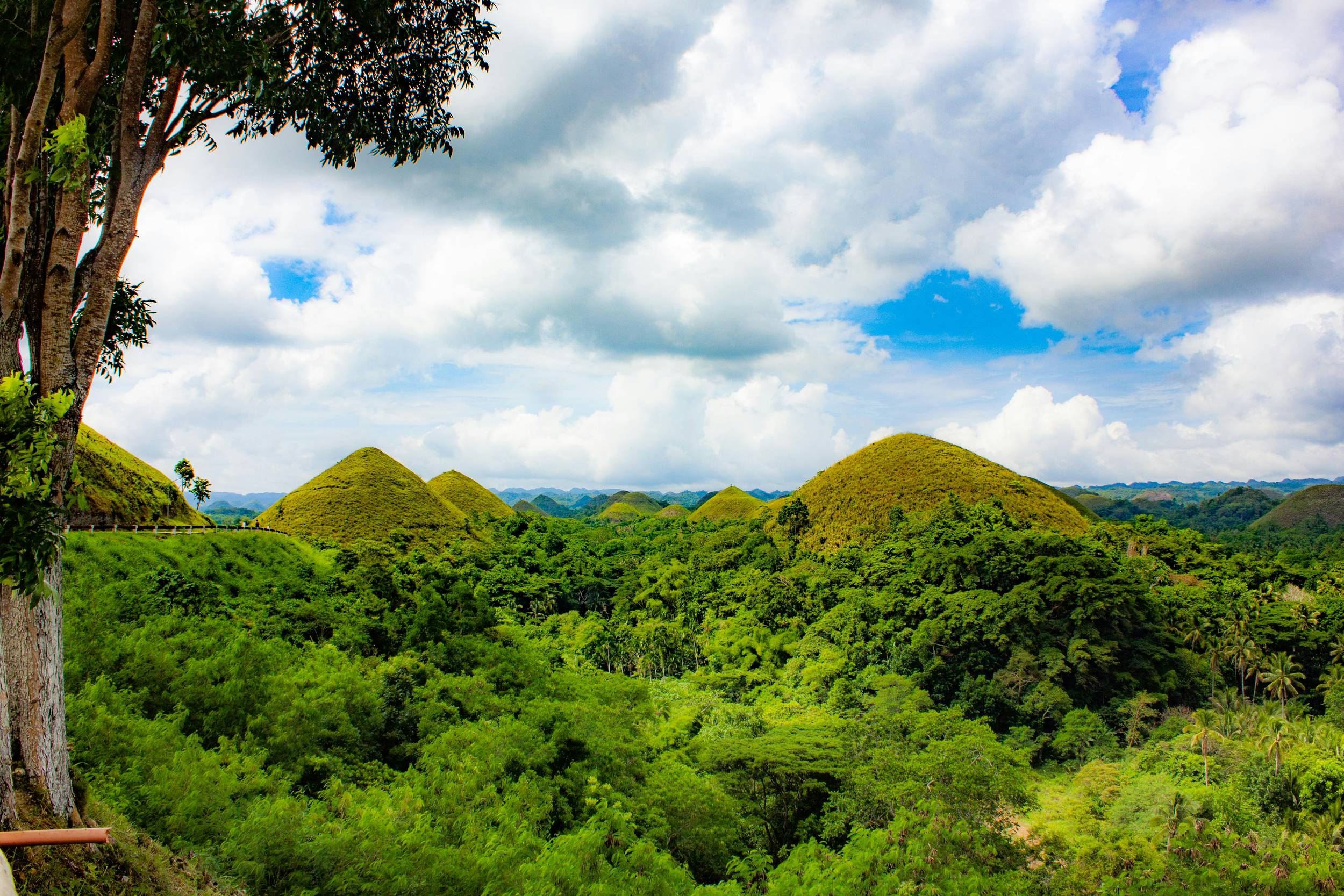 A panoramic view of the Chocolate Hills in Bohol, Philippines under a clear blue sky