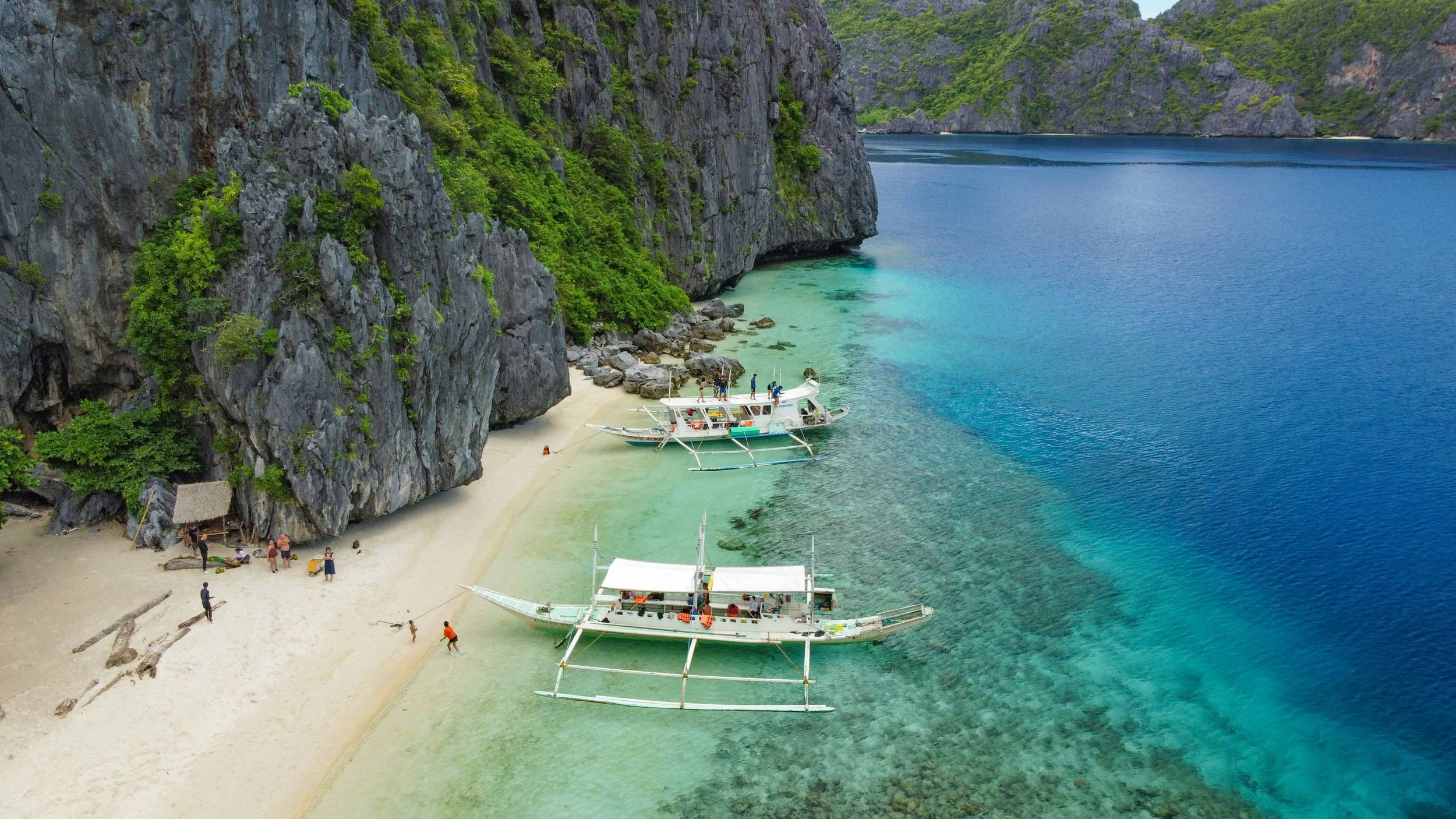 Lush Greenery and Serene Waters in Puerto Princesa, Philippines